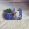 Senteur de lavandin Image : chat